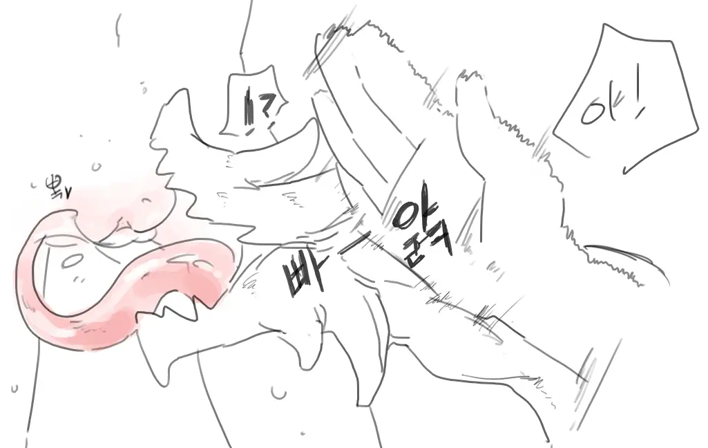 넷캔